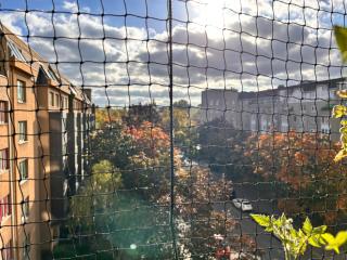 1 Zimmer mit Aussicht und 1 Zimmer mit Balkon in 4 Zimmer Wohnung, Szene, Parks und Top Lage - 4