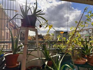 1 Zimmer mit Aussicht und 1 Zimmer mit Balkon in 4 Zimmer Wohnung, Szene, Parks und Top Lage - 3