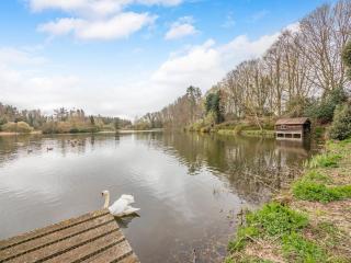 Wellwood - Uk49290 - 3