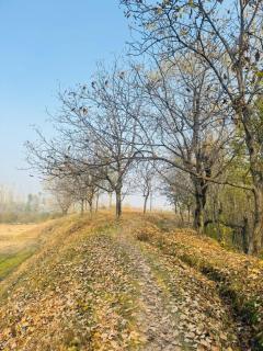 The White House Gulmarg - 2