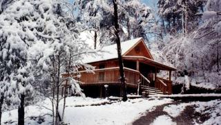 Pet-Friendly Cabin Retreat near Great Smoky Mountain National Park, Tennessee - 9