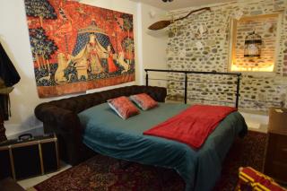 Le Repaire des Sorciers - Pau Centre - Chateau - 5