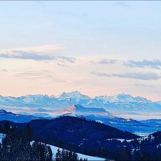 Forellenwirt Bacher - Kirchberg - 7