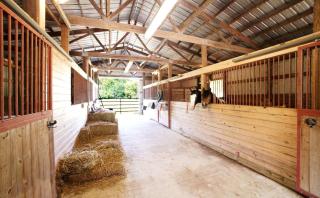 Peaceful Vacation Rental for Four near the Ohio River in Pendleton, Kentucky - 9