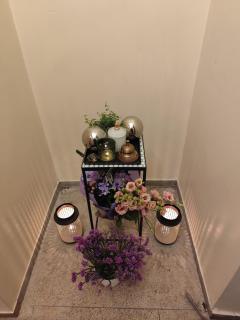 Marijonų Arfos Aidas - 7