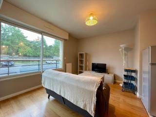 Appartement vue sur la Mayenne - 2