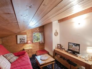 Appartement en duplex avec vue Mont-Blanc, 3 chambres, parking et animaux acceptés - FR-1-343-171 - 7