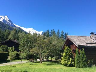 Charmant mazot avec jardin, animaux admis, parking, wifi - FR-1-343-215 - 1
