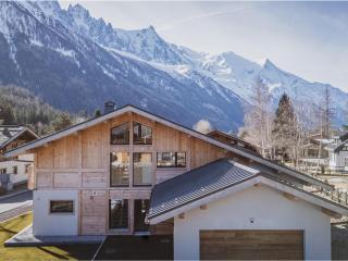 Chalet avec jacuzzi et animaux admis, vue Mont-Blanc - FR-1-343-259 - 3