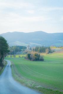 La Souche Fleurie, Cottage Marcel - 3