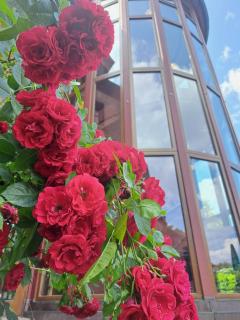 Schlosshotel Weyberhöfe - 1