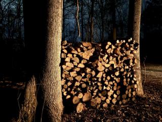 Lakefront Cabin with Fire Pit in Carbondale, Illinois - 8