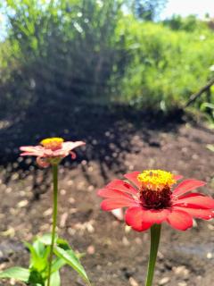 Quartos no Balneário próximos ao Rio Formoso - 1