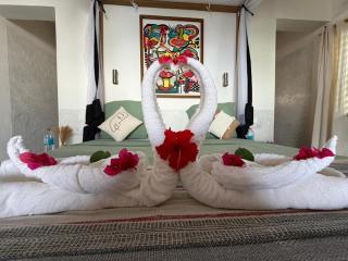 Villa Nosy Breizh - 3