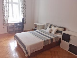 Big terrace 2 BR with AC 2 steps from main square - Zagreb - 4