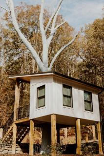 Lofted Romantic Tree House Immersed in Nature in Alabama - 3