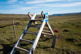 Laugarfell Accommodation & Hot Springs - 2