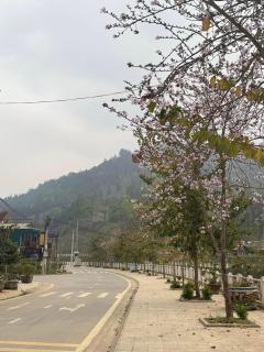 Khách sạn Giang Sơn Bắc Hà Lào Cai - 3