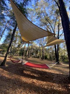 Off-Grid Cottage with Nice Sights in Dunnellon, Florida - 4