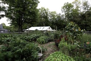 Cozy Unique Dome for a Romantic Glamping Getaway on a Private Farm in Woodridge, New York - 4