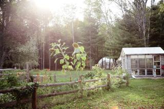Cozy Unique Dome for a Romantic Glamping Getaway on a Private Farm in Woodridge, New York - 3