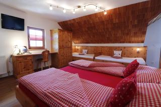 Hocheggerhof Ski und Wandererlebnis - 5