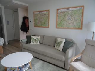 Apartamento Milla de Oro Benasque - 3