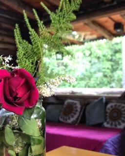 Cabaña LaNegrita 3 Huéspedes - 7