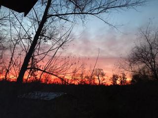 Cabaña LaNegrita 3 Huéspedes - 4