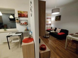 Apartament Gardena Olsztyn - 6