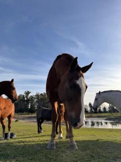 Entre Paz y Enfoque - 2