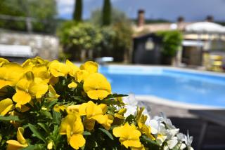 Podere Del Griccia - Val di Chiana - 7