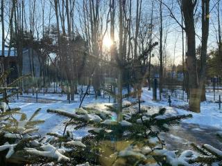 Rosevia Resort & Spa - 5