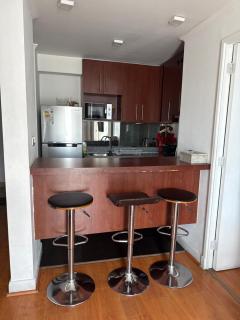 Deptos amoblados providencia - 6