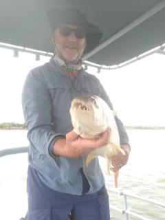 Mongwe Safari Camp - 6