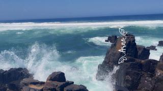 Holiday Accommodation by the sea - 0