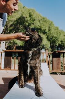 Cabañas en el Bosque a 5 minutos del mar - Estancia CH - 1