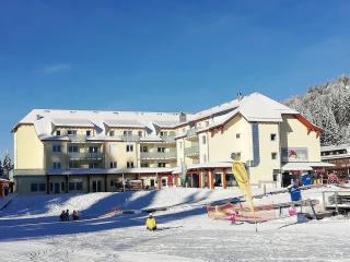 Komfort-Ferienwohnung am Feldberg, 2 Zimmer, Whirlpool, Residenz Grafenmatt, direkt am Skilift und an Wanderwegen - 3