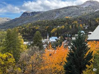 Parc des Ecrins 05290 Les MAISONNETTES APPARTEMENT 4 Pers - 1