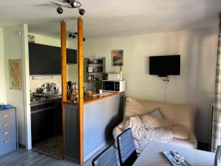 Parc des Ecrins 05290 Les MAISONNETTES APPARTEMENT 4 Pers - 4