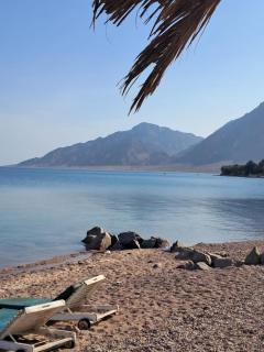 Palm Valley camp - 6