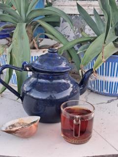 Palm Valley camp - 5