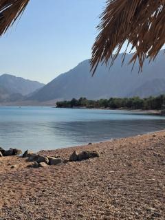 Palm Valley camp - 5