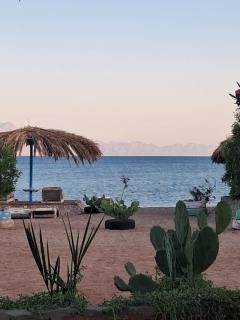 Palm Valley camp - 9