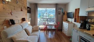 studio Loubat pyrénée, ménage inclus - 9