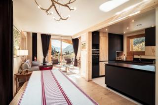 Chalet Mont Plaisir - Au pied des Drus - 7