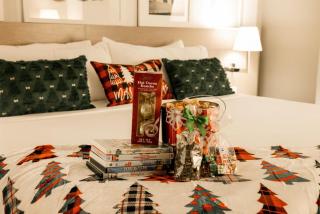 The Royal Sonesta Minneapolis Downtown - 4