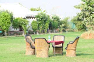 Tiger Echo Resort - 7