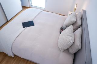 The Prime Design Apartment - Neudorf - 1