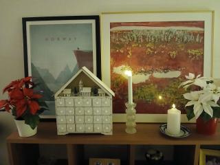 Riverside aparment for 4, in the center of Rovaniemi - 9